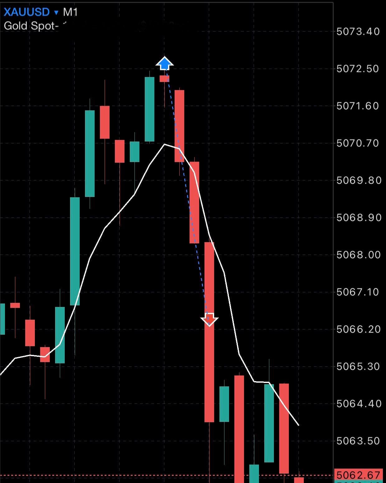 유동성의 화신 등장 😎