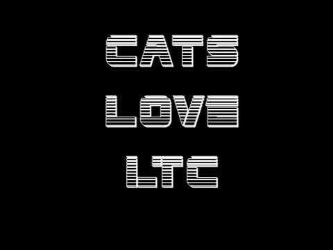 고양이도 좋아하는 라이트코인 🐱