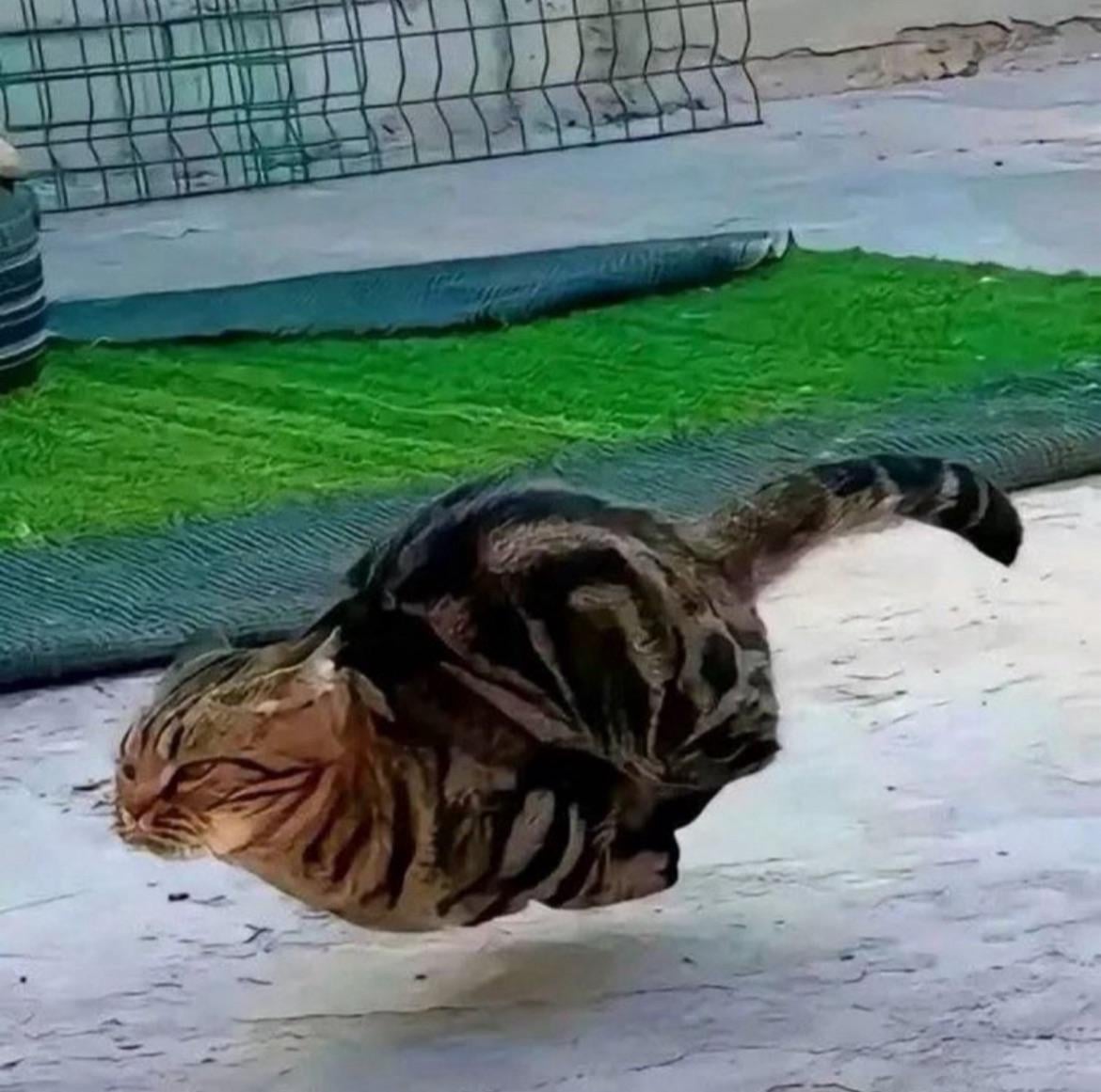 암호화폐 시장 하락할 때마다 바로 구직 사이트로 달려가네요 😅