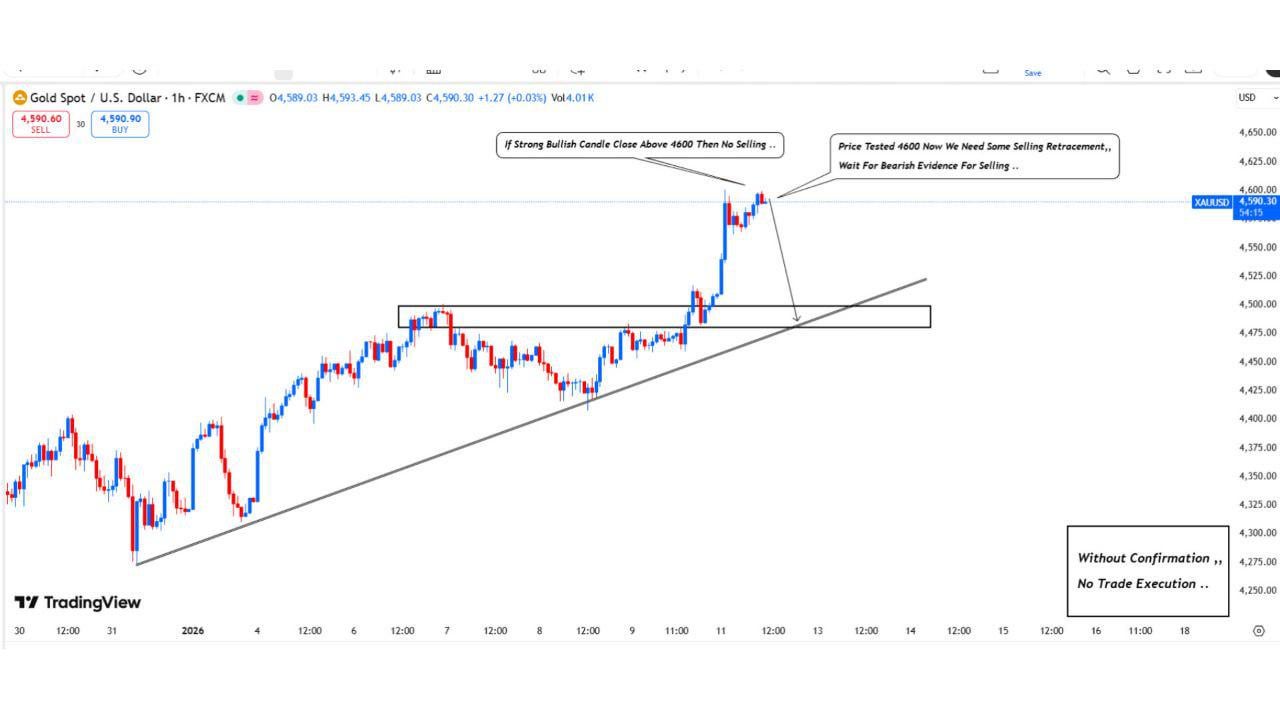 📈 오늘 골드 단타 진입 시나리오 정리