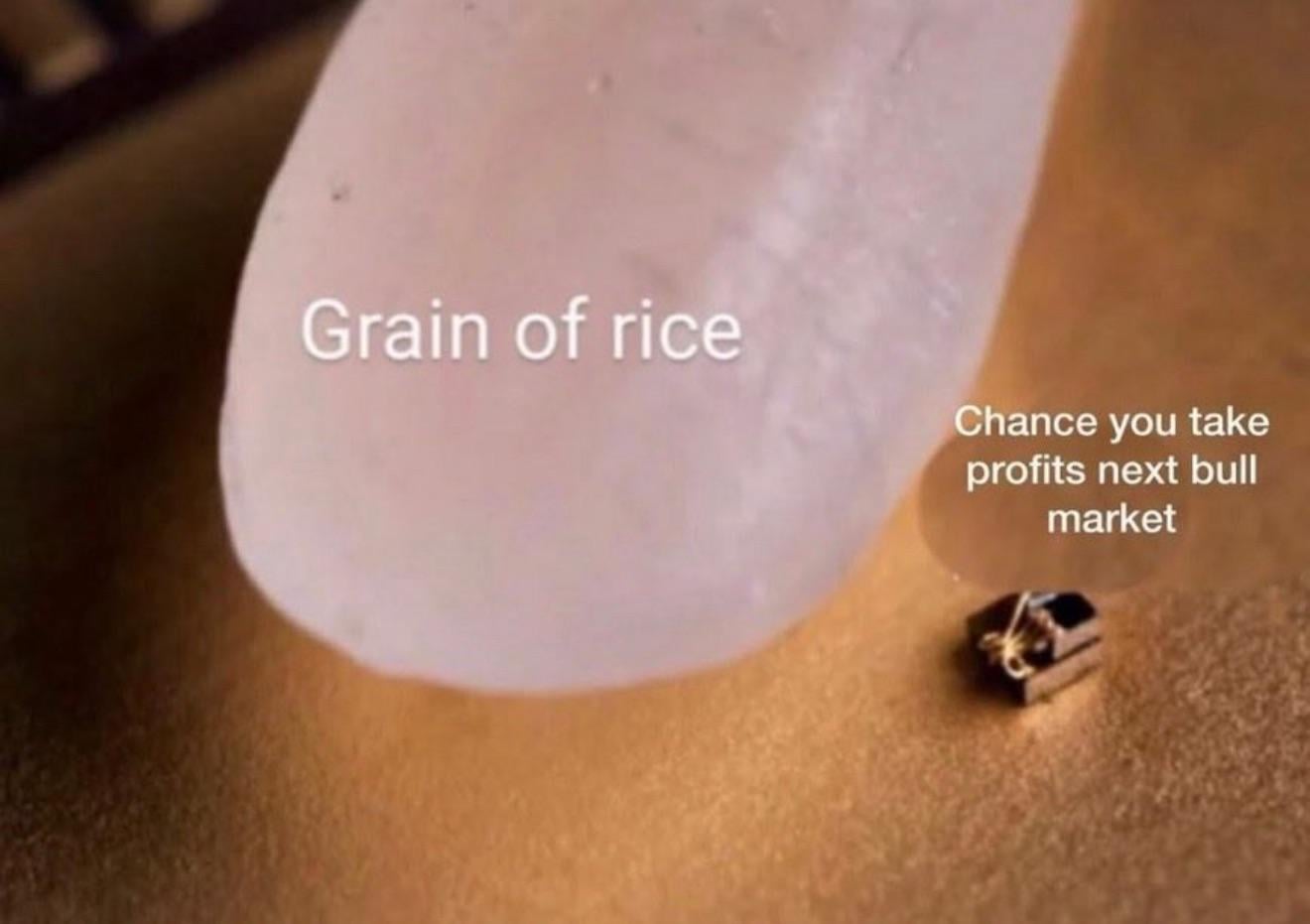 드디어 반등! 🚀