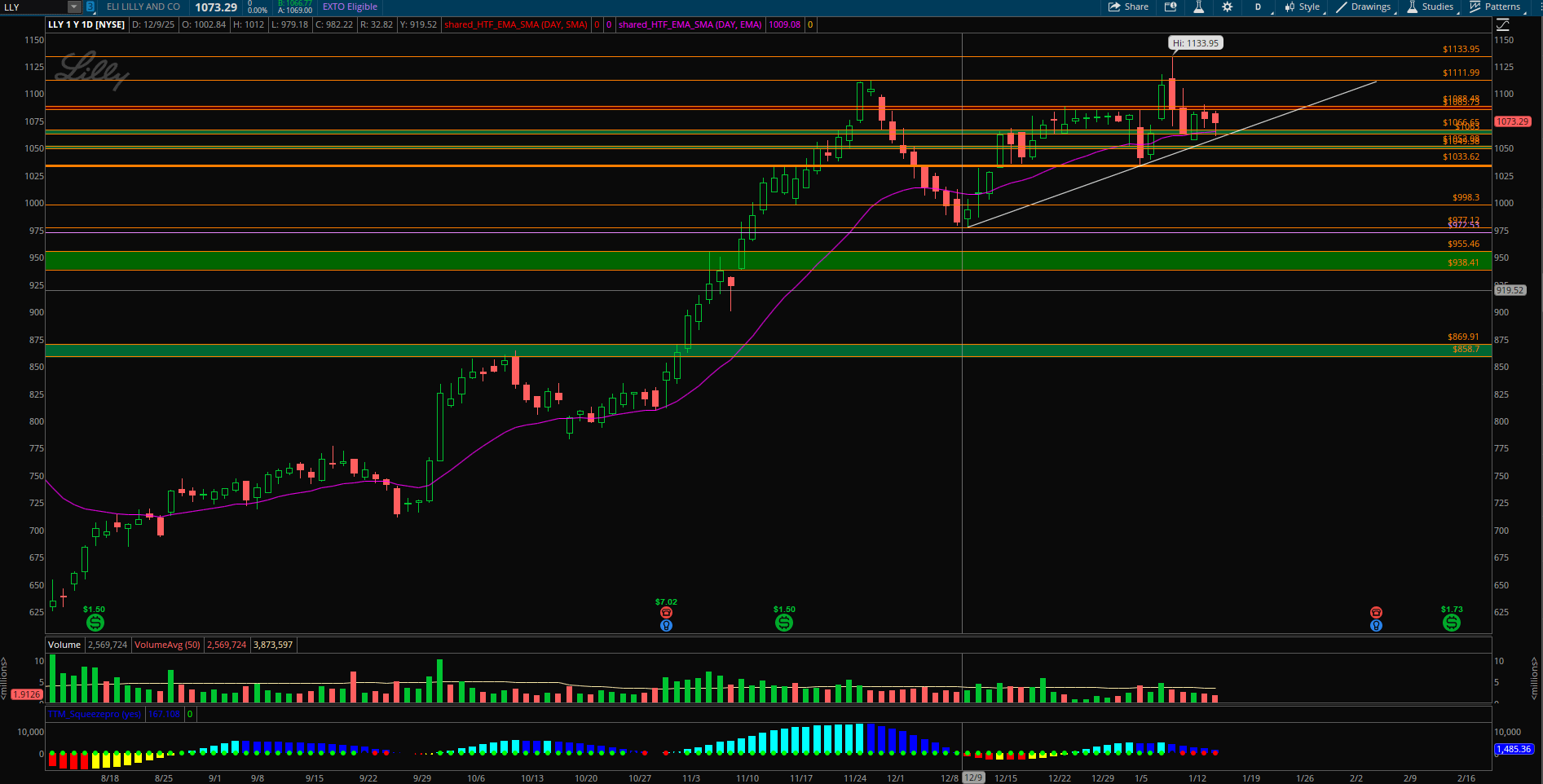 🔍 LLY, 단기 방향 결정 구간 도달