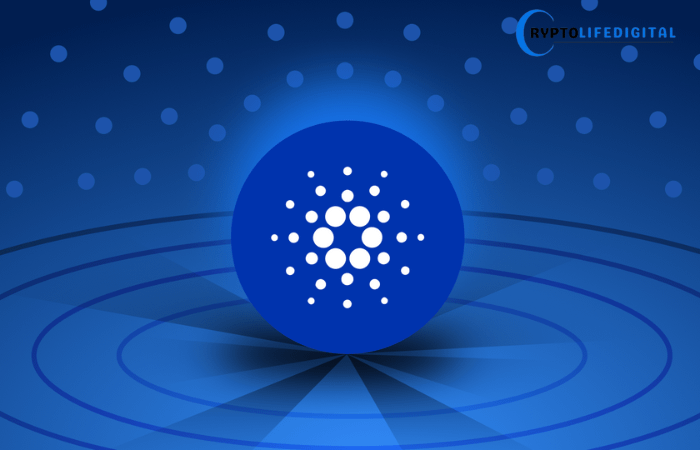 리플, 유력 인사와 협업해 전략적 영향력 확대 📈