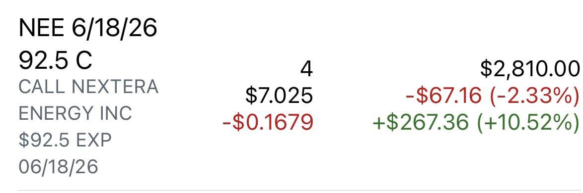 NEE 들고 계신 분 있나요? ⚡