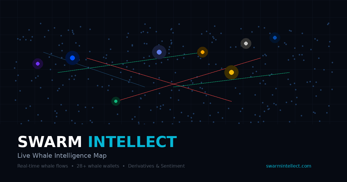 고래 포지션 추적 툴로 이상한 신호 발견 🐳