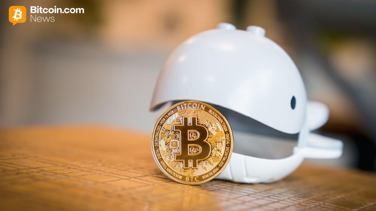 고래들이 한 달 새 27만 BTC를 매수하는데, 보유자들은 시간당 1.1만 BTC씩 매도 중 🐋