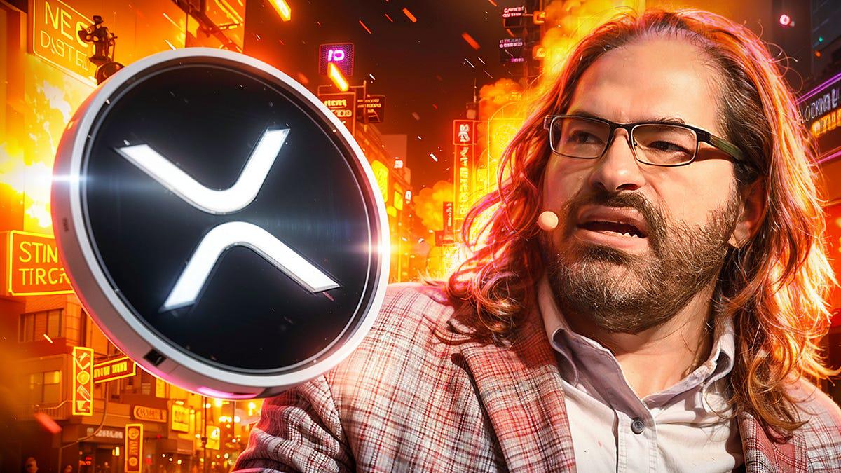 XRPL 공동창립자: XRP는 변동성이 커야 대박 난다 🚀