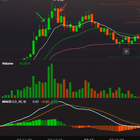 로드투로스 - 47일차 / $CHAI 거래 후기 📈